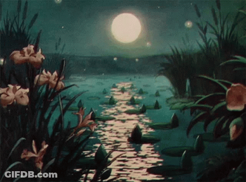 Pond With Flowers And Full Moon GIF