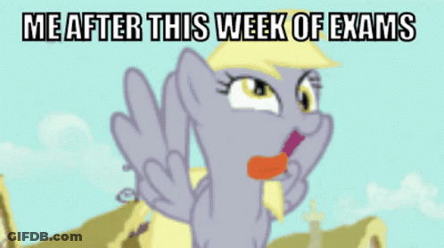 Pony Cartoon Saying Me After Exams GIF