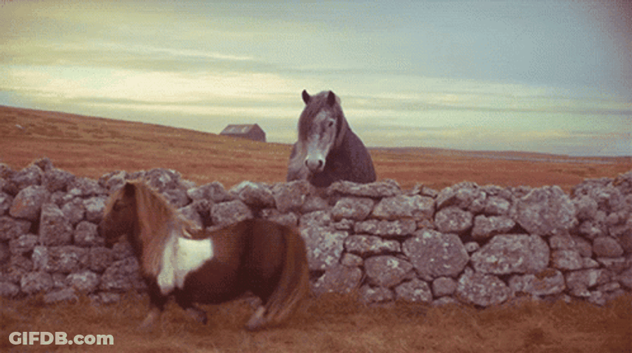 Pony Doing Moonwalk GIF