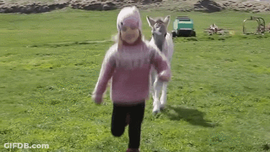 Pony Following Young Girl GIF