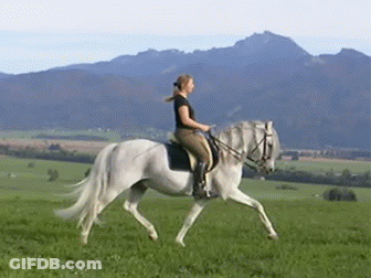 Pony Saying Nope I'm Good GIF