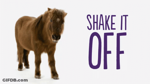 Pony Shake It Off GIF