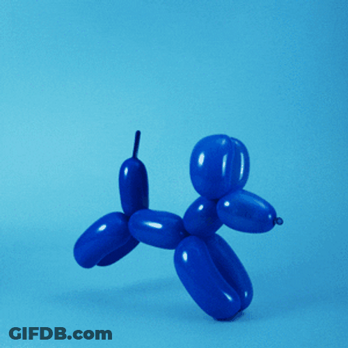 Poodle Balloon Hopping To Finish Line GIF