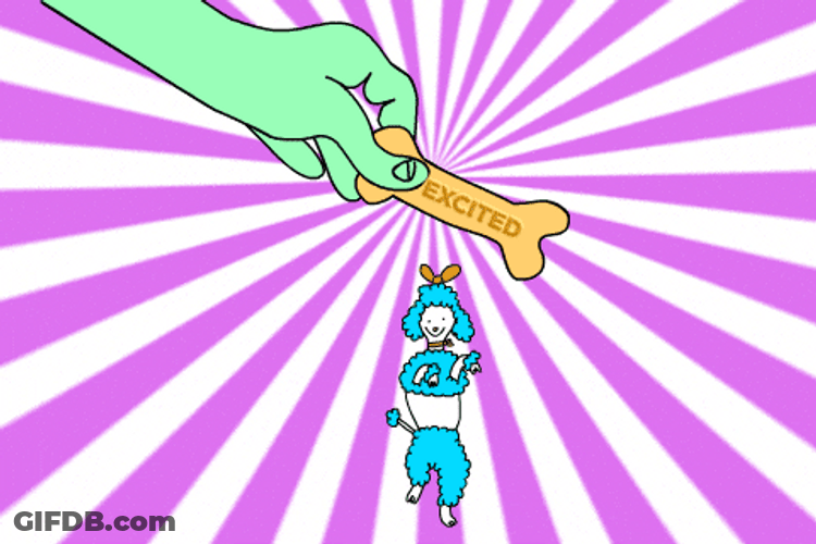 Poodle Excited Bone Toy GIF