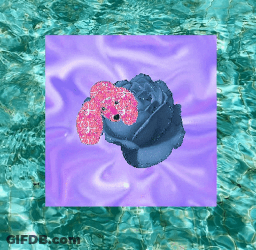 Poodle Floating Sheet Shiny GIF