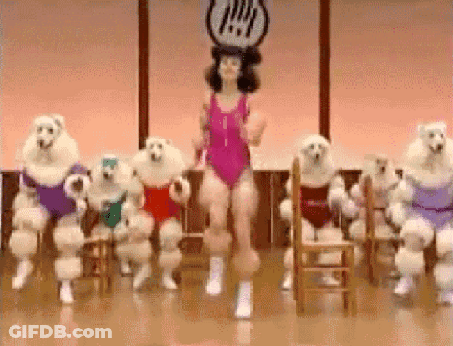 Poodle Having Aerobics Exercise GIF