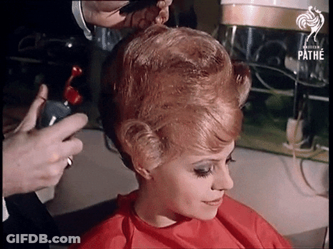 Poodle Owner Hair Done GIF