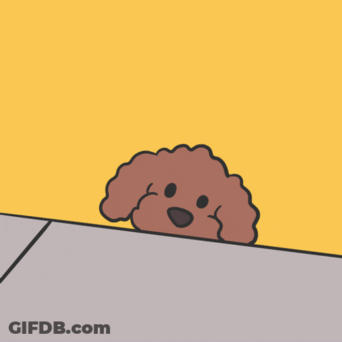 Poodle Playing Dinosaur Toy GIF