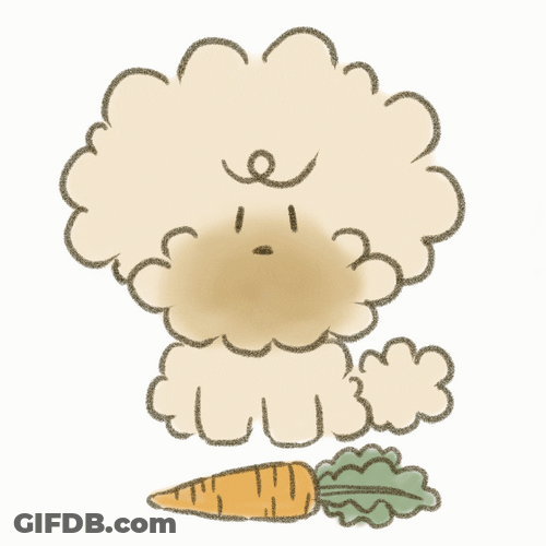 Poodle Shaking Head No Carrots GIF