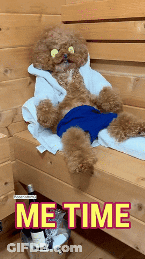 Poodle Sleeping Cucumber On Eyes GIF