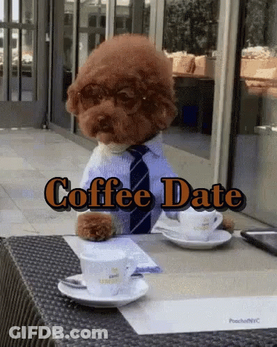Poodle Wearing Glasses And Tie At Table With Coffee Cups GIF