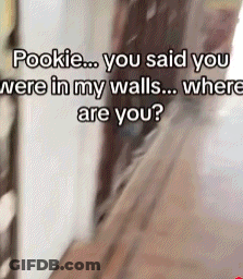 Pookie You Said You Were In My Walls Where Are You GIF