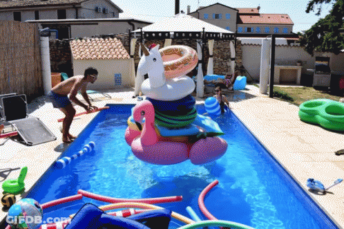 Pool Filled With Floats And Flamingo GIF