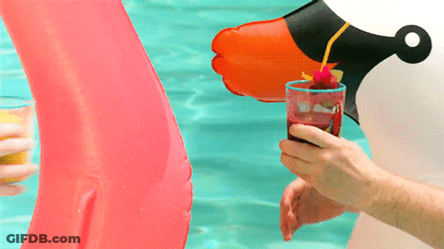 Pool Party Boys Cheers GIF
