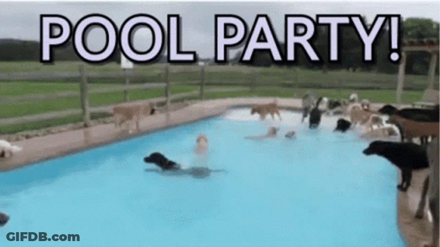 Pool Party Dogpool GIF