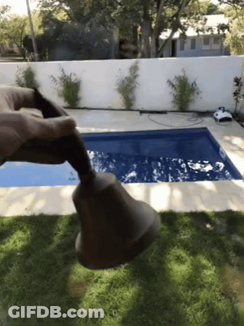 Poolside Bell Ringing GIF