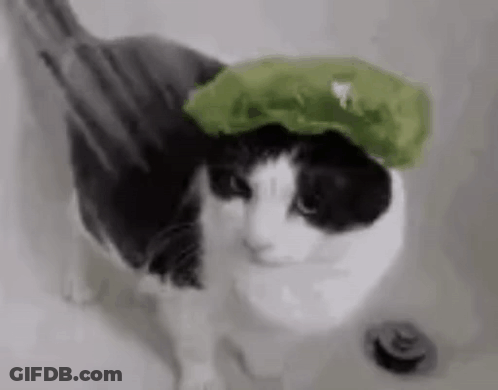 Poop Dancing In Field We Are Free GIF