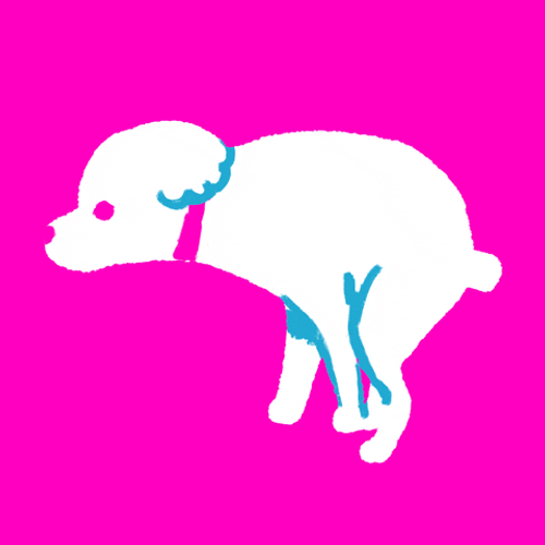 Poop Falling From Walking Dog GIF