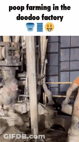 Poop Farming In The Doodoo Factory With A Bucket And Barrel GIF