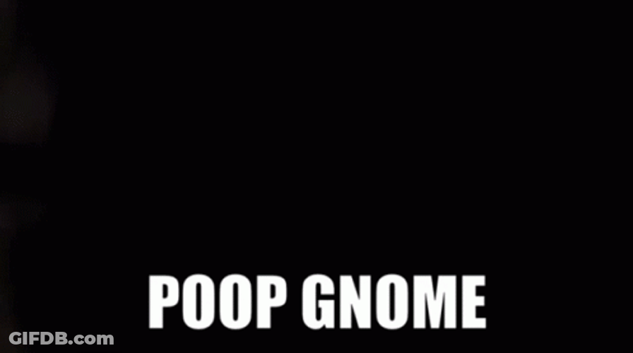 Poop Gnome Explosive Diarrhea Meme GIF