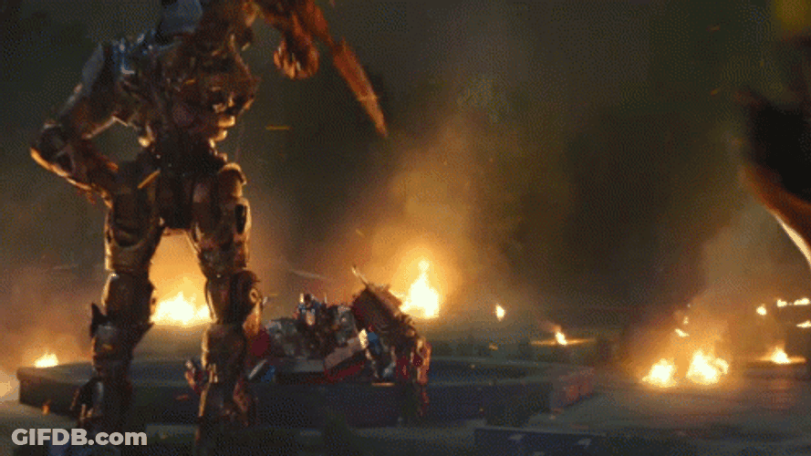 Poor Bumblebee Got Beaten GIF