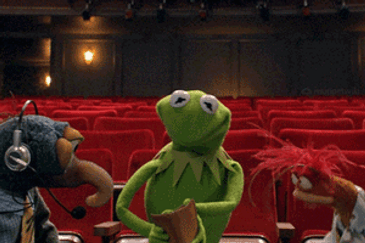 Poor Finance Kermit Frog GIF