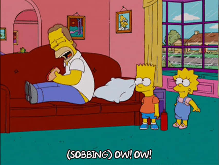 Poor Homer Simpson Sobbing Ow GIF