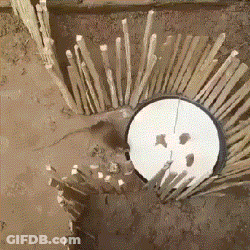 Poor Trapped Mouse Hiding GIF