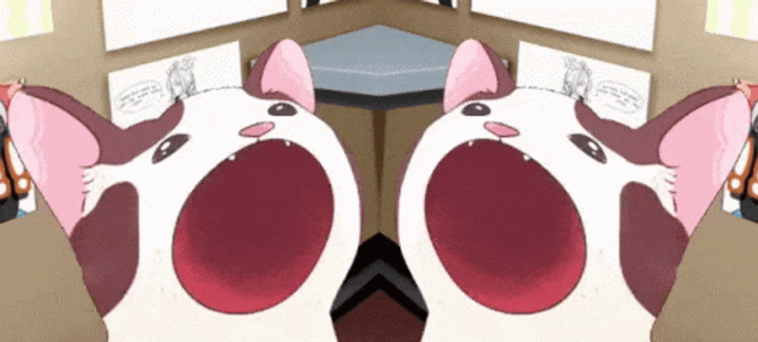 Pop Cat Anime Duo GIF