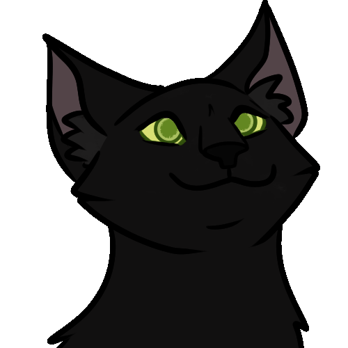 Pop Cat Black Cartoon GIF