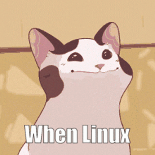 Pop Cat Cartoon Linux GIF