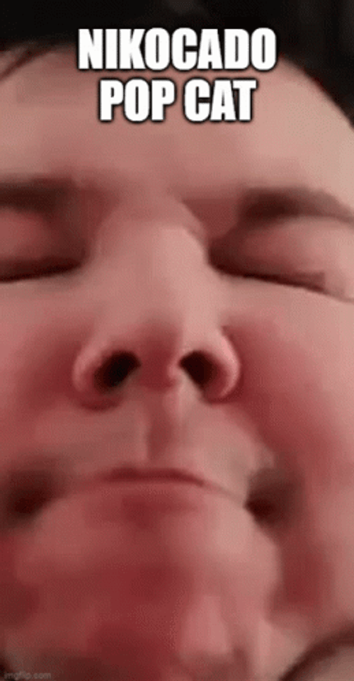 Pop Cat Nikocado Avocado GIF