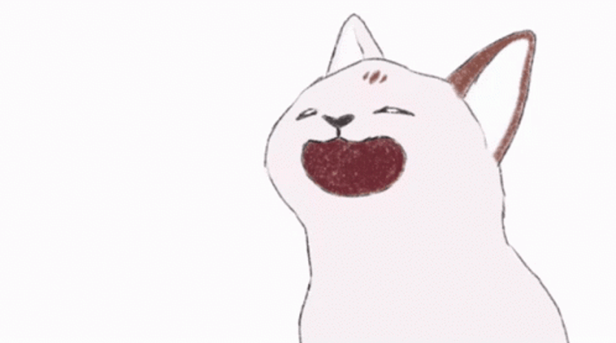 Pop Cat Oatmeal 2D Cartoon GIF