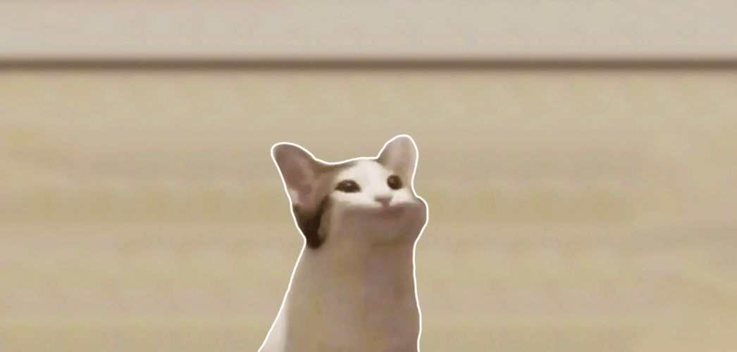 Pop Cat Oatmeal Animation GIF
