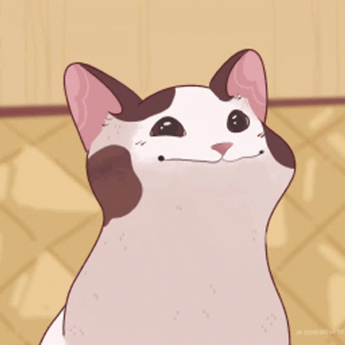 Pop Cat Oatmeal Anime GIF