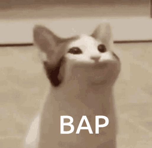 Pop Cat Oatmeal Bap GIF