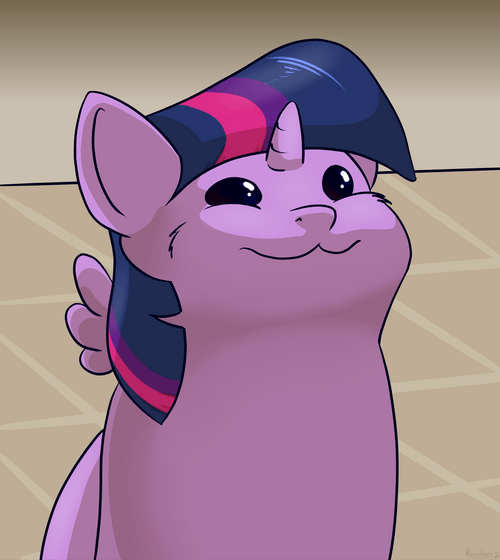 Pop Cat Oatmeal Twilight Pony GIF