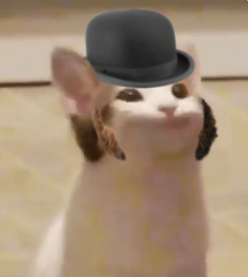 Pop Cat Oatmeal Ugly Teeth GIF