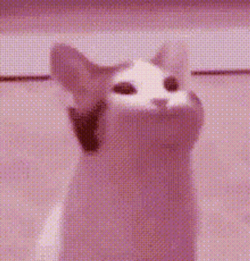 Pop Cat Pink Meme GIF