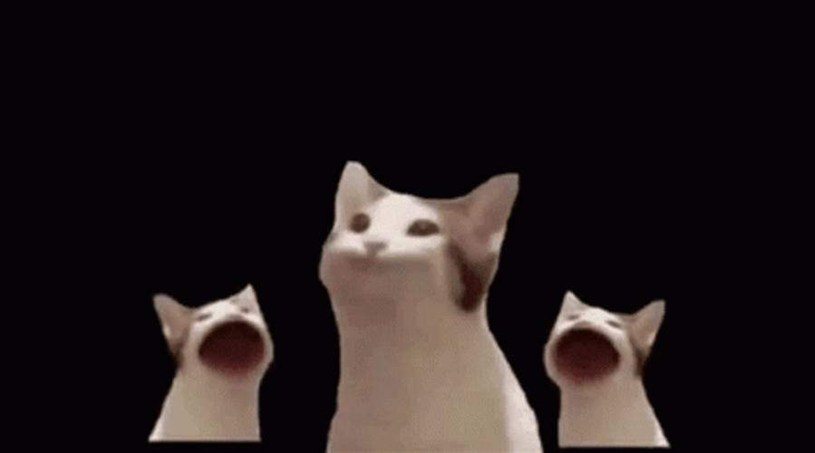 Pop Cat Trio Singing GIF