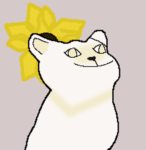 Pop Cat Yellow Flower Animation GIF