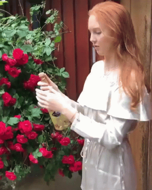 Pop Champagne Gone Wrong GIF