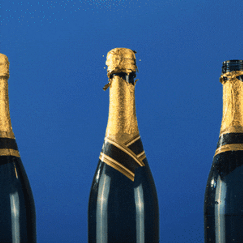 Pop Champagne Loop GIF