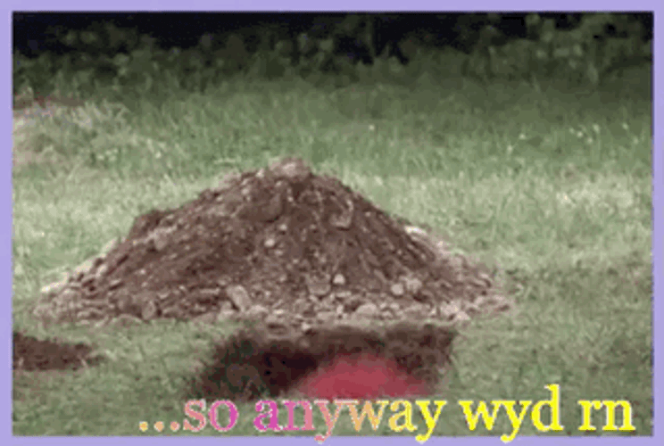 Pop Up Lifts Head Up GIF