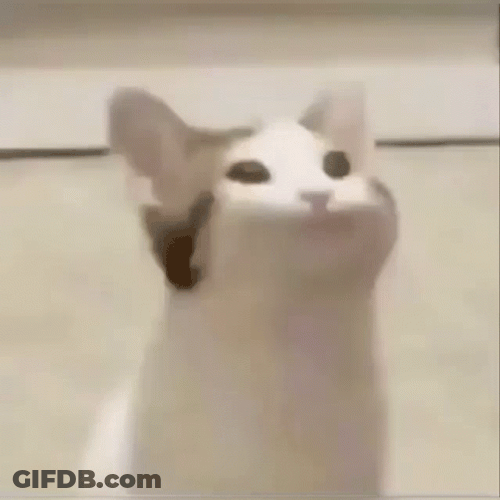 Popcat Meme Stream Gaming GIF