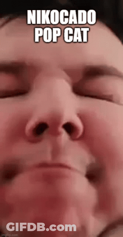 Popcat Nikocado Meme GIF