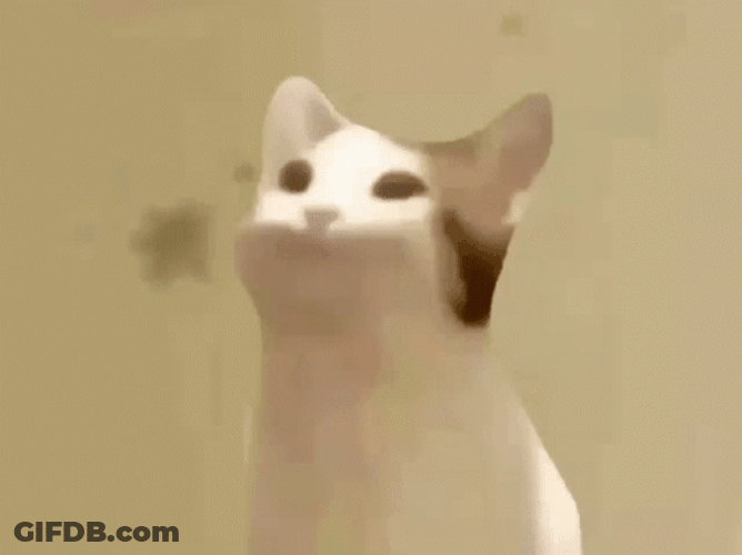 Popcat GIF