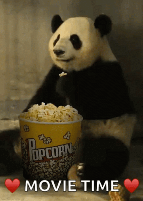 Popcorn Panda Movie Time GIF