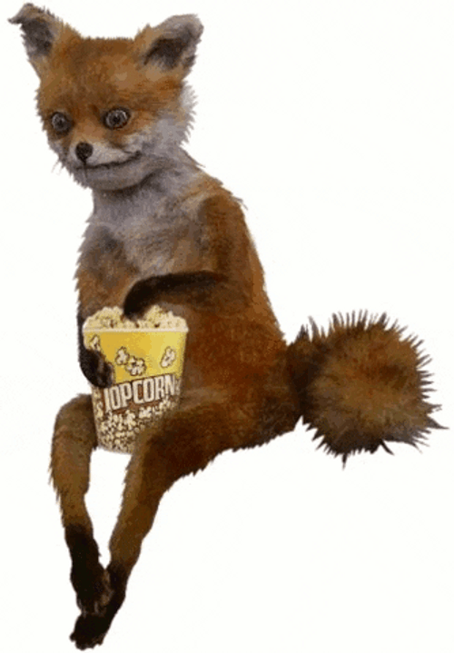 Popcorn Tub Weird Fox GIF
