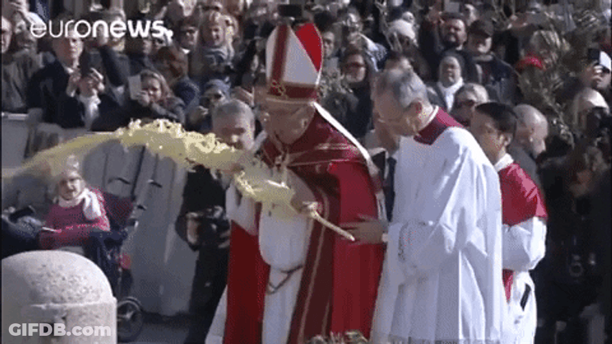 Pope Francis Mobile Blessing People GIF
